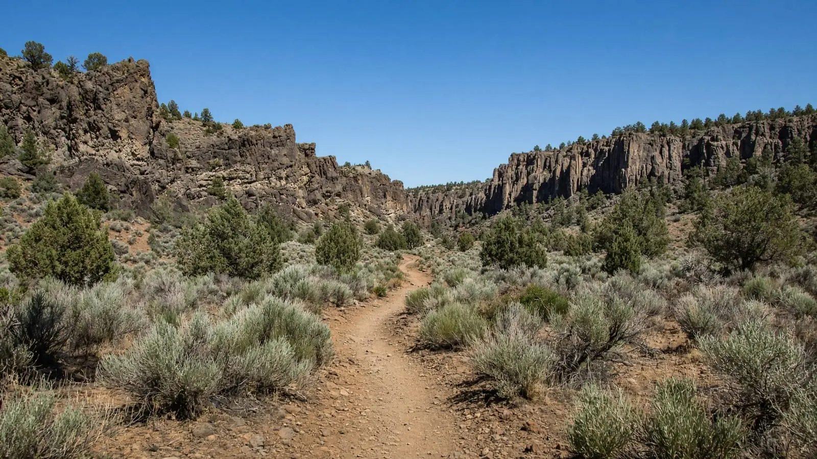 A trail through sagebrush toward rimrock cliffs