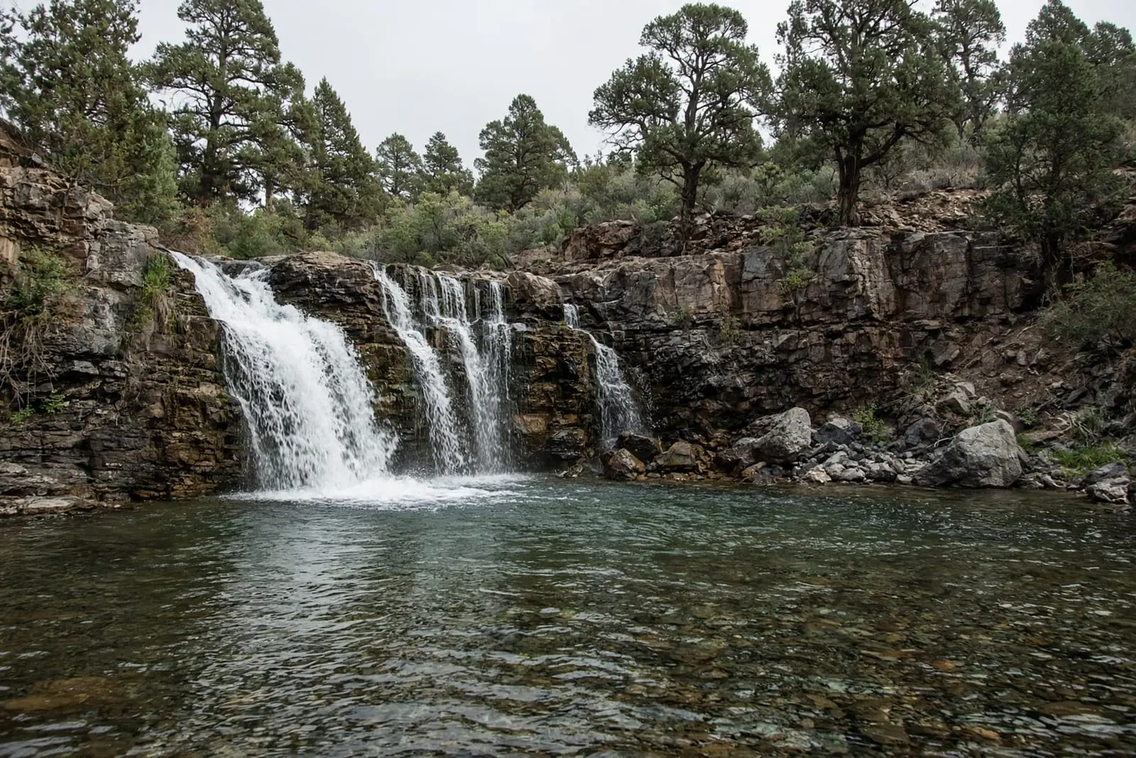 A waterfall among pines in Central Oregon